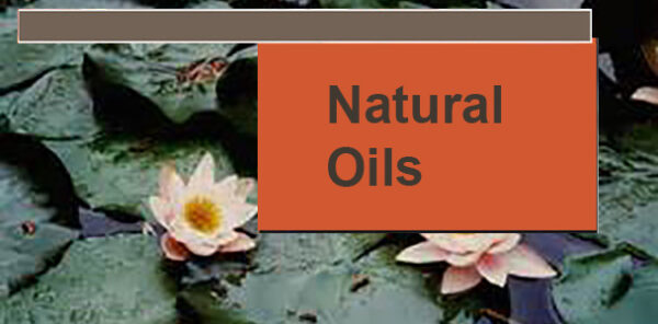 MeterLube 6737 Oil